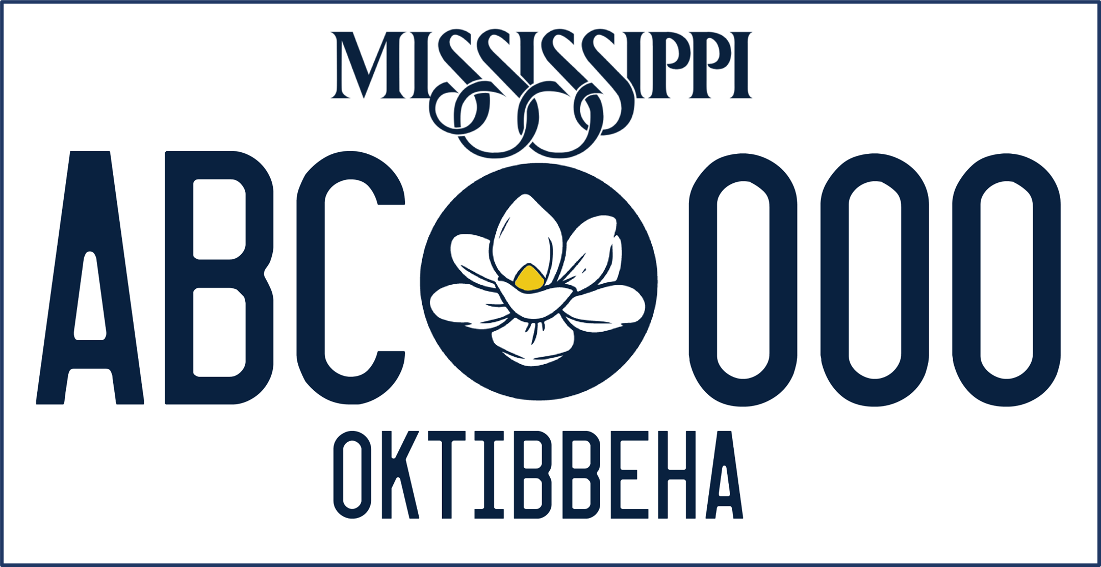 2024 MS Standard License Plate 