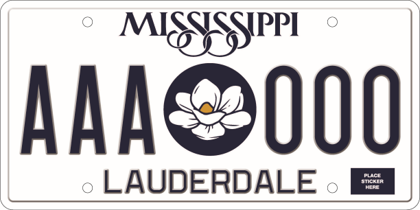 Regular Passenger Vehicle License Plate