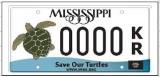 Kemp’s Ridley Sea Turtle