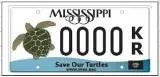 Kemp’s Ridley Sea Turtle