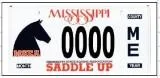 Mississippi State Equine Association