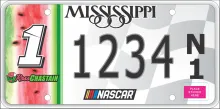 NASCAR 01 Ross Chastain