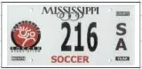 Youth Soccer Association